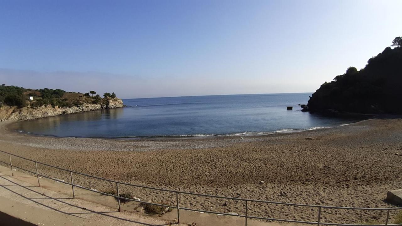 Cap D Osne - Banyuls Sur Mer - 2Mn Plage Bagian luar foto