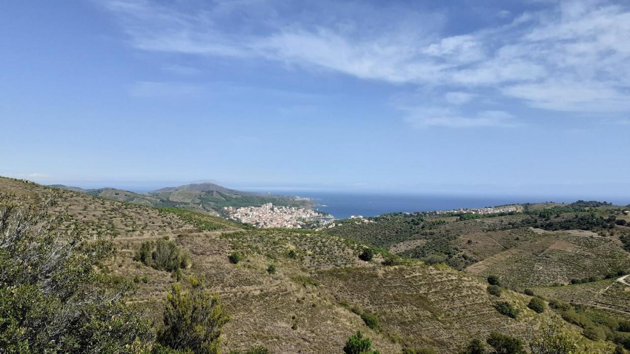 Cap D Osne - Banyuls Sur Mer - 2Mn Plage Bagian luar foto